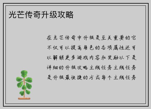 光芒传奇升级攻略